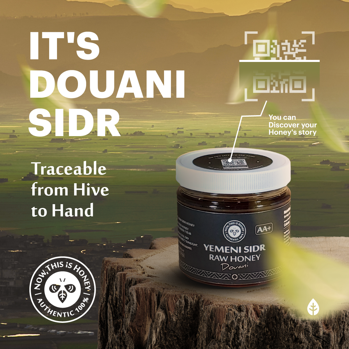 Grade AA+ Raw Yemeni Sidr Honey (10 oz) - Douani Sidr Honey