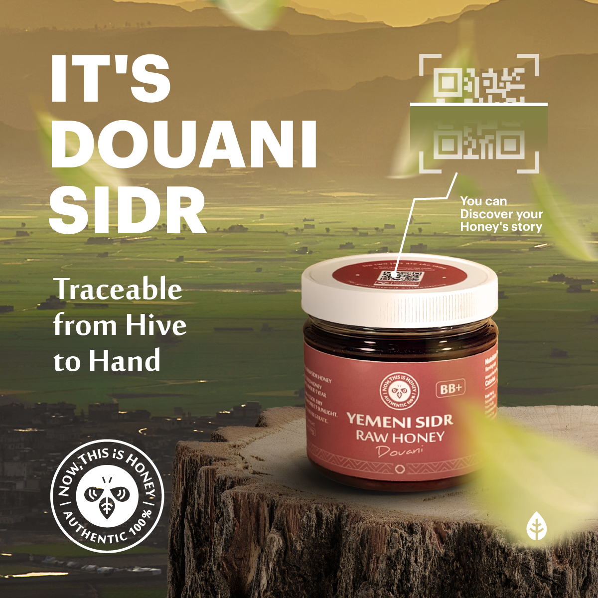 Grade BB+ Raw Yemeni Sidr Honey - Douani Sidr Honey